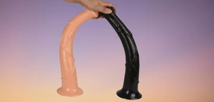 Exploring the Controversial World of Horse Dildos: History, Appeal, and Cultural Impact